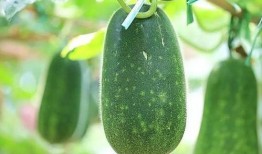 热门大瓜有哪些,揭秘明星幕后故事